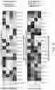 Fig. 86 - PROGRAMMABLE NUCLEASE IMPROVEMENTS AND COMPOSITIONS AND METHODS FOR NUCLEIC ACID AMPLIFICATION AND DETECTION