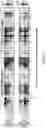 Fig. 91 - PROGRAMMABLE NUCLEASE IMPROVEMENTS AND COMPOSITIONS AND METHODS FOR NUCLEIC ACID AMPLIFICATION AND DETECTION