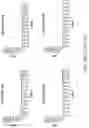 Fig. 99 - PROGRAMMABLE NUCLEASE IMPROVEMENTS AND COMPOSITIONS AND METHODS FOR NUCLEIC ACID AMPLIFICATION AND DETECTION