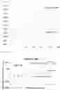 Fig. 02 - Enzymatic mutant suitable for homogeneous immunoassay method