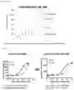 Fig. 06 - Enzymatic mutant suitable for homogeneous immunoassay method