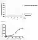 Fig. 07 - Enzymatic mutant suitable for homogeneous immunoassay method