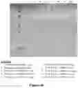 Fig. 37 - METHOD OF PRODUCING COLLAGENASE