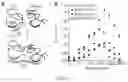 Fig. 04 - Genetically Encoded Tyrosine Sulfation of Proteins in Eukaryotes