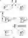 Fig. 06 - Genetically Encoded Tyrosine Sulfation of Proteins in Eukaryotes