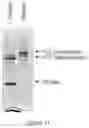 Fig. 11 - Genetically Encoded Tyrosine Sulfation of Proteins in Eukaryotes
