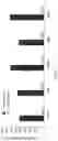 Fig. 30 - Genetically Encoded Tyrosine Sulfation of Proteins in Eukaryotes
