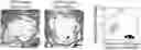 Fig. 01 - CHEMICALLY PROGRAMMED NEUTROPHILS AND USES THEREOF