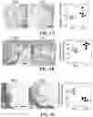 Fig. 02 - CHEMICALLY PROGRAMMED NEUTROPHILS AND USES THEREOF