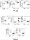 Fig. 03 - CHEMICALLY PROGRAMMED NEUTROPHILS AND USES THEREOF