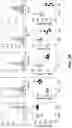 Fig. 05 - CHEMICALLY PROGRAMMED NEUTROPHILS AND USES THEREOF