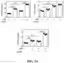 Fig. 07 - CHEMICALLY PROGRAMMED NEUTROPHILS AND USES THEREOF