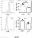 Fig. 11 - CHEMICALLY PROGRAMMED NEUTROPHILS AND USES THEREOF