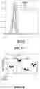 Fig. 15 - CHEMICALLY PROGRAMMED NEUTROPHILS AND USES THEREOF