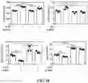 Fig. 18 - CHEMICALLY PROGRAMMED NEUTROPHILS AND USES THEREOF
