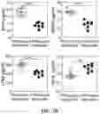 Fig. 21 - CHEMICALLY PROGRAMMED NEUTROPHILS AND USES THEREOF