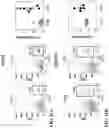 Fig. 25 - CHEMICALLY PROGRAMMED NEUTROPHILS AND USES THEREOF