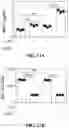 Fig. 27 - CHEMICALLY PROGRAMMED NEUTROPHILS AND USES THEREOF