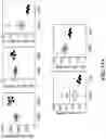 Fig. 30 - CHEMICALLY PROGRAMMED NEUTROPHILS AND USES THEREOF