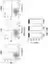 Fig. 33 - CHEMICALLY PROGRAMMED NEUTROPHILS AND USES THEREOF