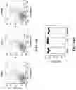 Fig. 34 - CHEMICALLY PROGRAMMED NEUTROPHILS AND USES THEREOF