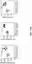 Fig. 36 - CHEMICALLY PROGRAMMED NEUTROPHILS AND USES THEREOF