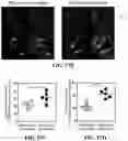 Fig. 37 - CHEMICALLY PROGRAMMED NEUTROPHILS AND USES THEREOF