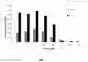 Fig. 04 - METHOD OF RNA IN VITRO TRANSCRIPTION USING A BUFFER CONTAINING A DICARBOXYLIC ACID OR TRICARBOXYLIC ACID OR A SALT THEREOF