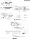 Fig. 01 - METHODS OF CAPTURING CELL-FREE METHYLATED DNA AND USES OF SAME