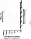 Fig. 05 - METHODS OF CAPTURING CELL-FREE METHYLATED DNA AND USES OF SAME