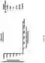 Fig. 06 - METHODS OF CAPTURING CELL-FREE METHYLATED DNA AND USES OF SAME