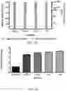 Fig. 13 - METHODS OF CAPTURING CELL-FREE METHYLATED DNA AND USES OF SAME