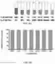 Fig. 14 - METHODS OF CAPTURING CELL-FREE METHYLATED DNA AND USES OF SAME