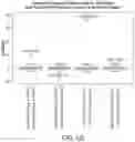 Fig. 20 - METHODS OF CAPTURING CELL-FREE METHYLATED DNA AND USES OF SAME