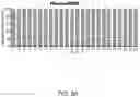 Fig. 22 - METHODS OF CAPTURING CELL-FREE METHYLATED DNA AND USES OF SAME