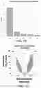 Fig. 26 - METHODS OF CAPTURING CELL-FREE METHYLATED DNA AND USES OF SAME