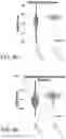 Fig. 33 - METHODS OF CAPTURING CELL-FREE METHYLATED DNA AND USES OF SAME