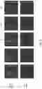 Fig. 09 - METHODS OF NON-DESTRUCTIVE NANOSTRAW INTRACELLULAR SAMPLING FOR LONGITUDINAL CELL MONITORING
