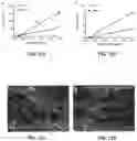 Fig. 11 - METHODS OF NON-DESTRUCTIVE NANOSTRAW INTRACELLULAR SAMPLING FOR LONGITUDINAL CELL MONITORING