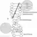 Fig. 01 - COMPOSITIONS AND METHODS FOR NUCLEIC ACID CAPTURE BY CHEMICAL BAIT