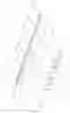 Fig. 15 - NUCLEIC ACID EXTRACTION APPARATUS
