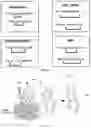 Fig. 02 - POLYPEPTIDE DISPLAY LIBRARIES AND METHODS OF MAKING AND USING THEREOF