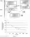 Fig. 11 - POLYPEPTIDE DISPLAY LIBRARIES AND METHODS OF MAKING AND USING THEREOF