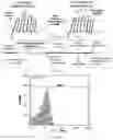 Fig. 13 - POLYPEPTIDE DISPLAY LIBRARIES AND METHODS OF MAKING AND USING THEREOF