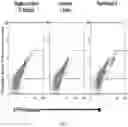 Fig. 17 - POLYPEPTIDE DISPLAY LIBRARIES AND METHODS OF MAKING AND USING THEREOF