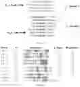 Fig. 18 - POLYPEPTIDE DISPLAY LIBRARIES AND METHODS OF MAKING AND USING THEREOF