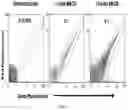 Fig. 19 - POLYPEPTIDE DISPLAY LIBRARIES AND METHODS OF MAKING AND USING THEREOF