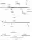 Fig. 24 - POLYPEPTIDE DISPLAY LIBRARIES AND METHODS OF MAKING AND USING THEREOF