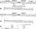Fig. 01 - Methods of Suppressing Adaptor Dimer Formation in Deep Sequencing Library Preparation