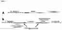 Fig. 03 - Methods of Suppressing Adaptor Dimer Formation in Deep Sequencing Library Preparation